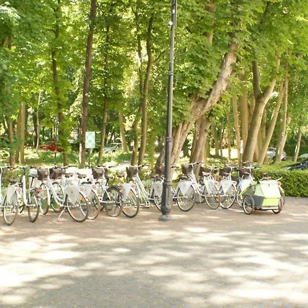 Marzena Daire Swinoujscie